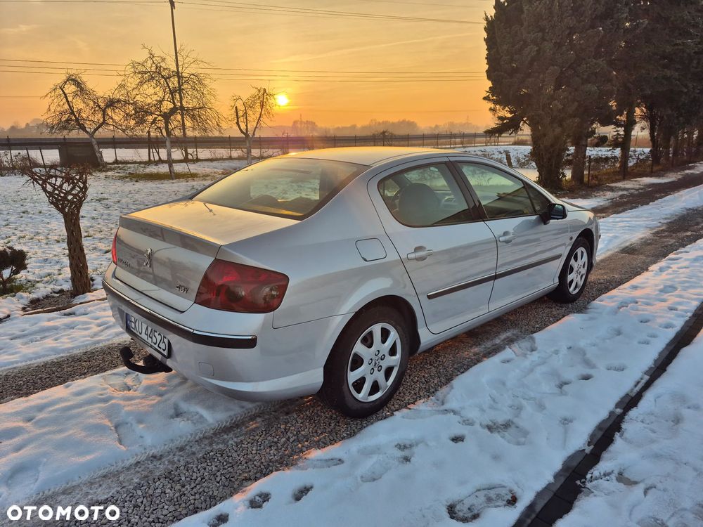 Peugeot 407 - 16
