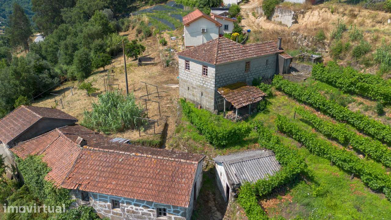 Quintinha com 2 casas em pedra para recuperar + 2 terrenos com vinhas- - Grande imagem: 5/39
