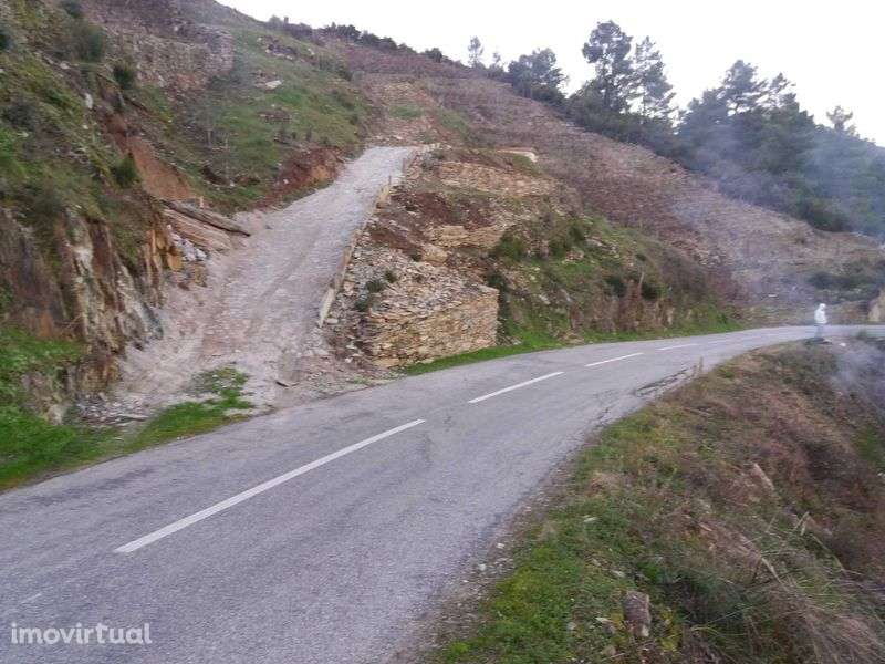 pequena quintinha no  coração do douro - Grande imagem: 3/11