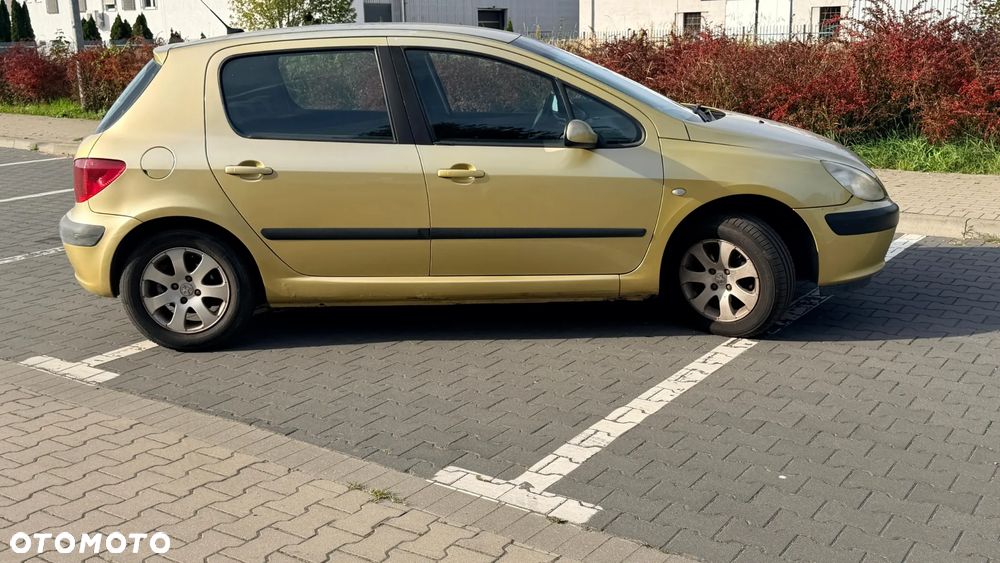 Peugeot 307 - 3