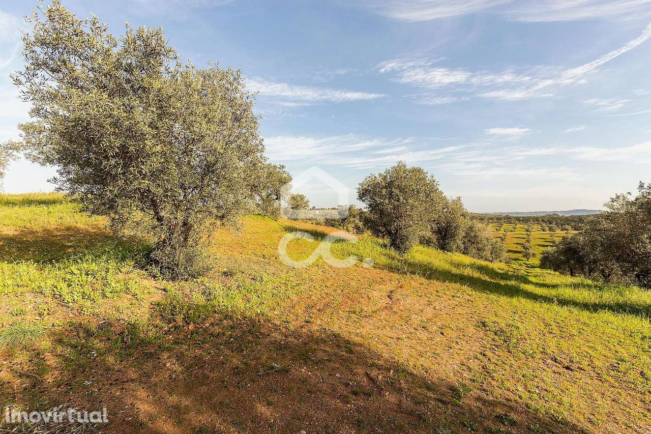 Terreno de 7500m2 c/ poço | Alqueva - Grande imagem: 3/47