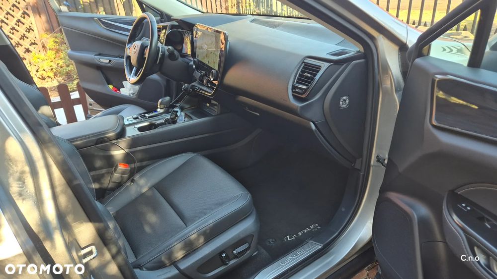 Lexus NX - 10