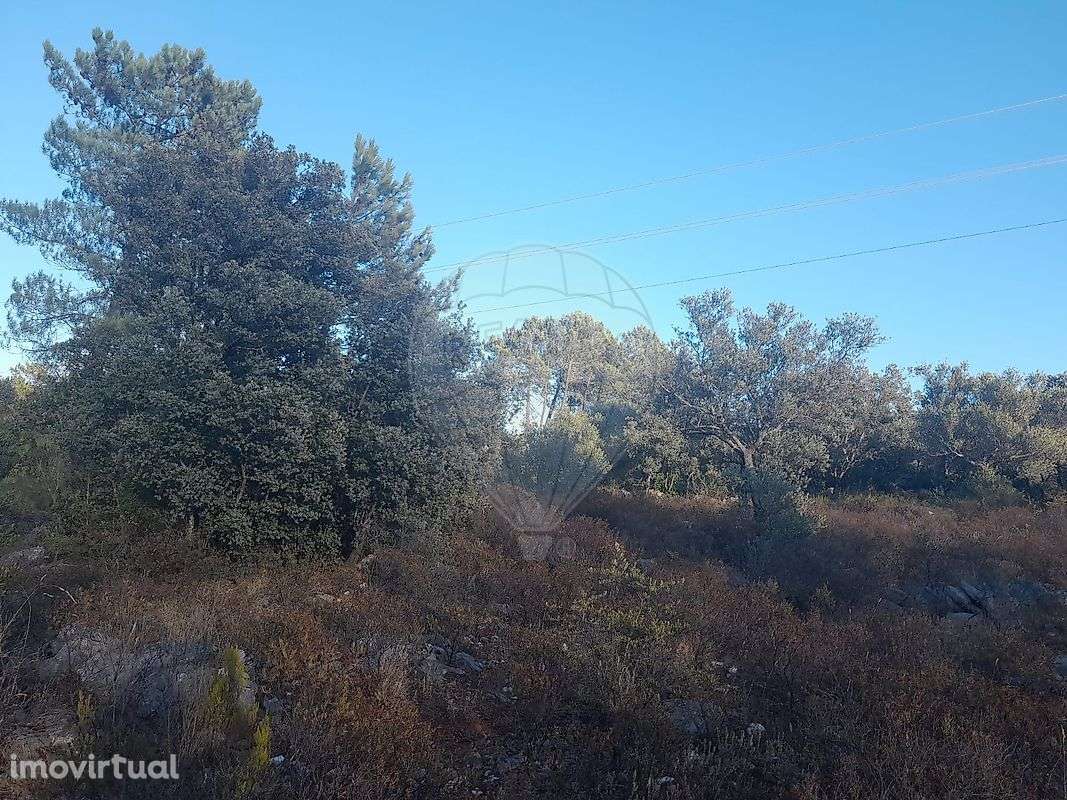 Terreno  para venda - Grande imagem: 4/7