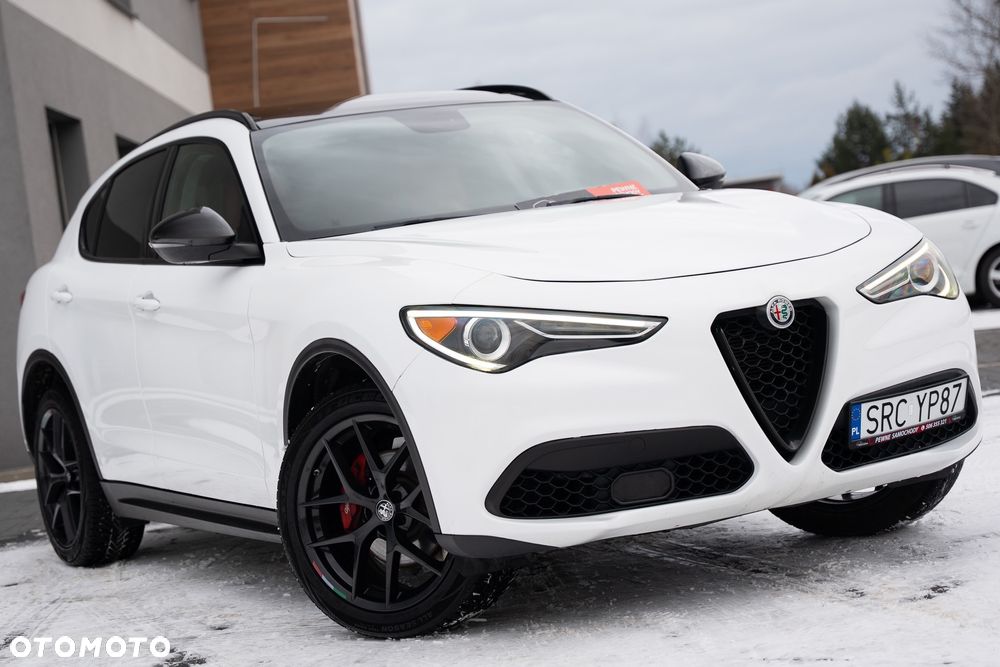 Alfa Romeo Stelvio 2.0 Turbo 16V AT8-Q4 Executive - 4