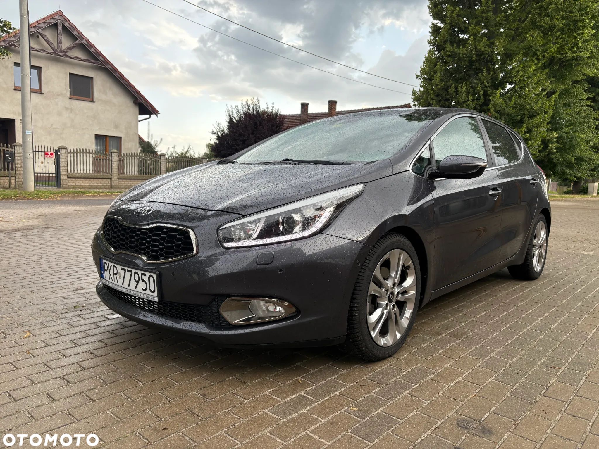 Kia Ceed 1.6 GDI DCT Platinum Edition - 1