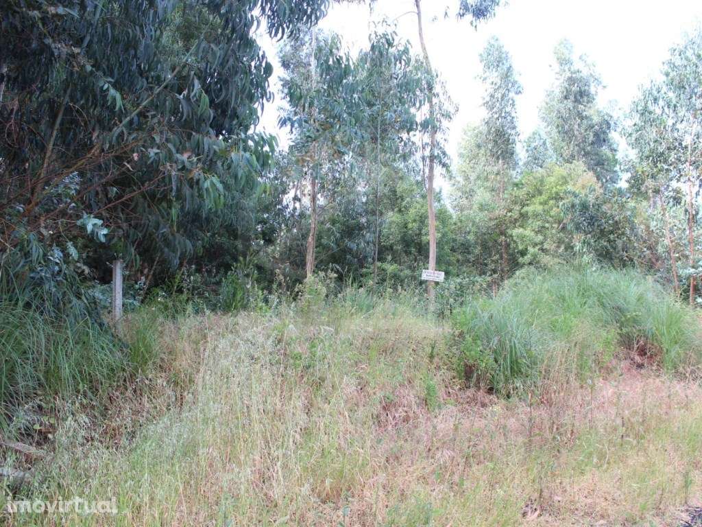 Terreno para construção com 4.080 m2 em Rio Meão - Grande imagem: 4/7