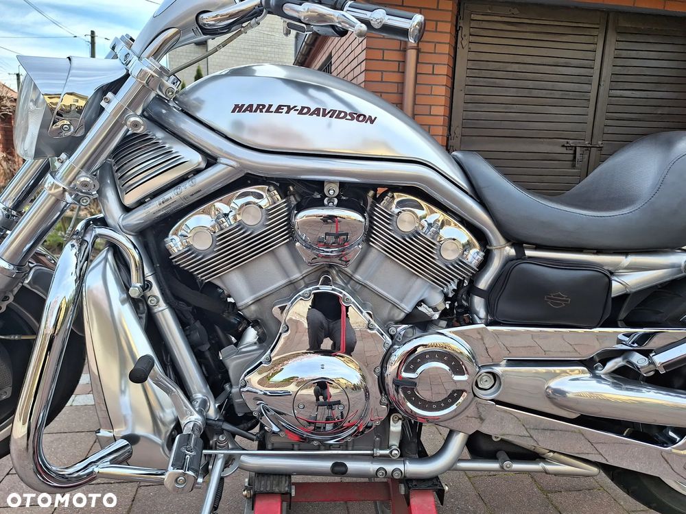 Harley-Davidson V-Rod Street Rod - 6
