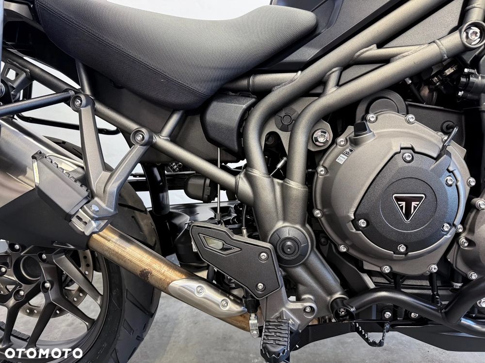 Triumph Tiger - 32
