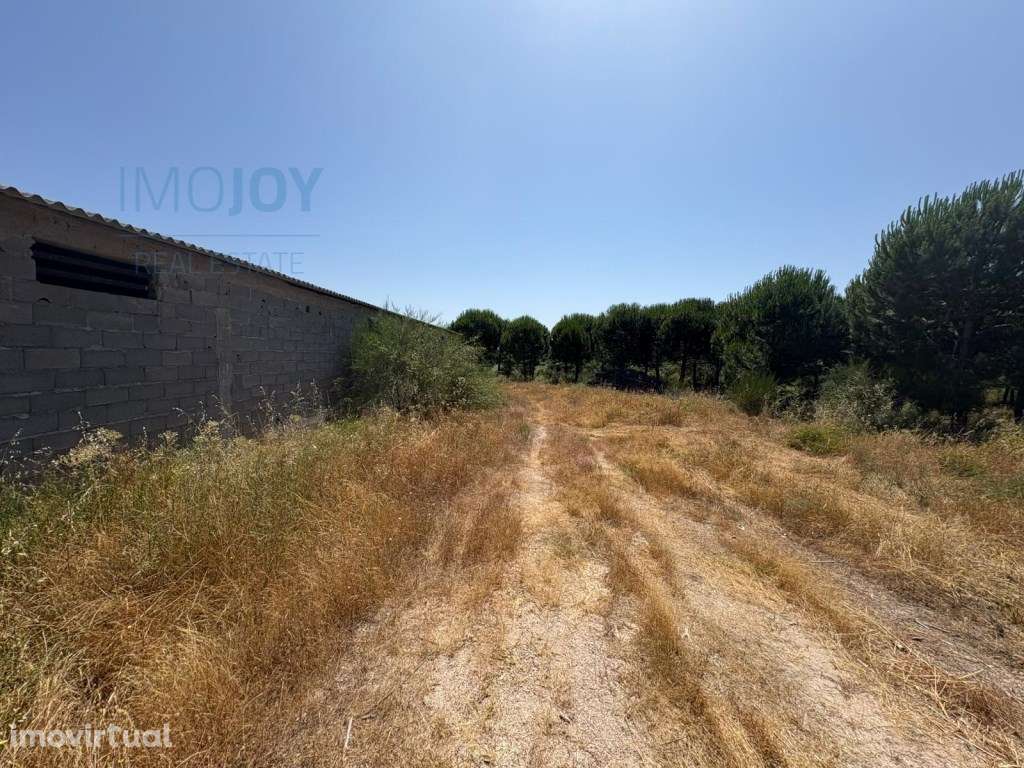 Fantástica Herdade na freguesia de Ninho de Açor e Sobral do Campo,... - Grande imagem: 3/14