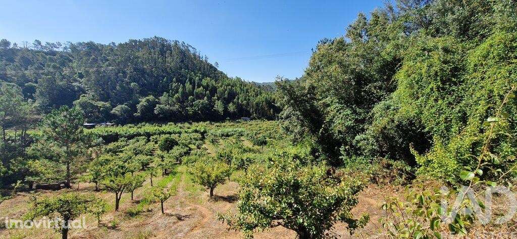 Terreno em Azueira e Sobral da Abelheira de 6250,00 m2 - Grande imagem: 5/28