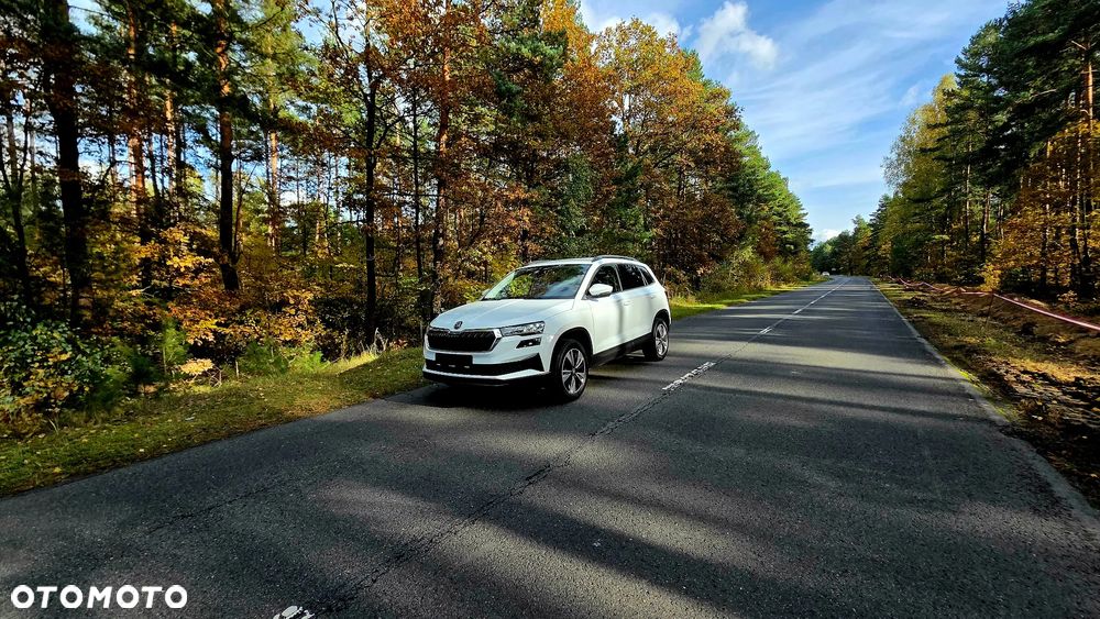 Skoda Karoq 2.0 TDI SCR 4x2 Sportline - 30