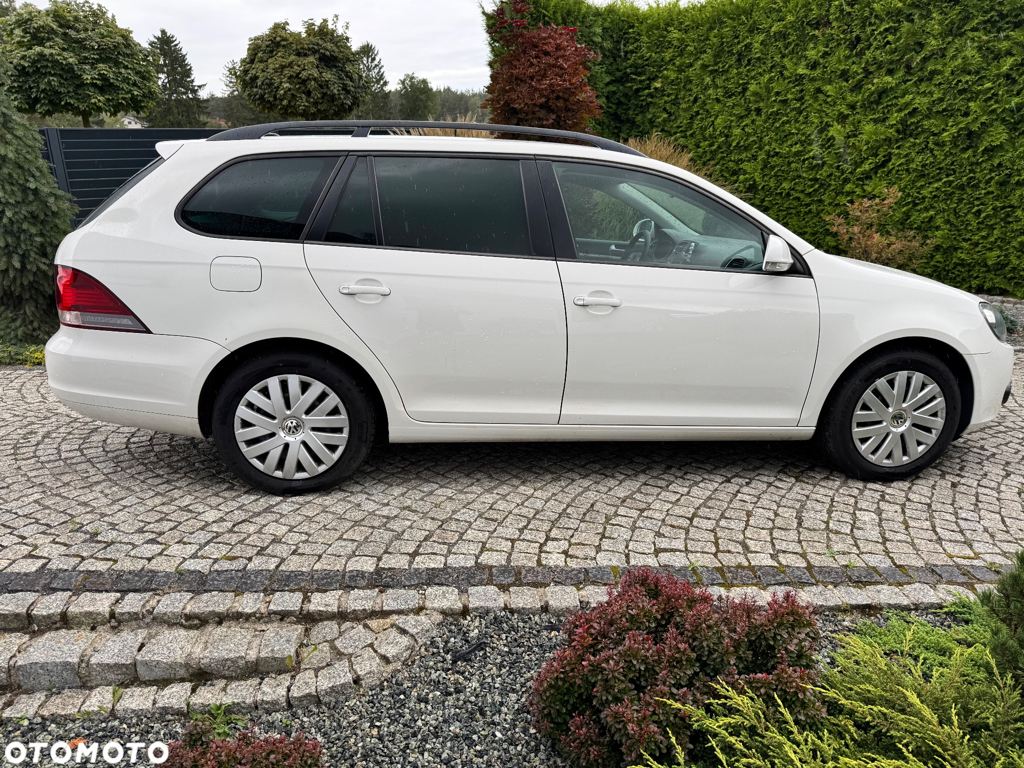 Volkswagen Golf - 10