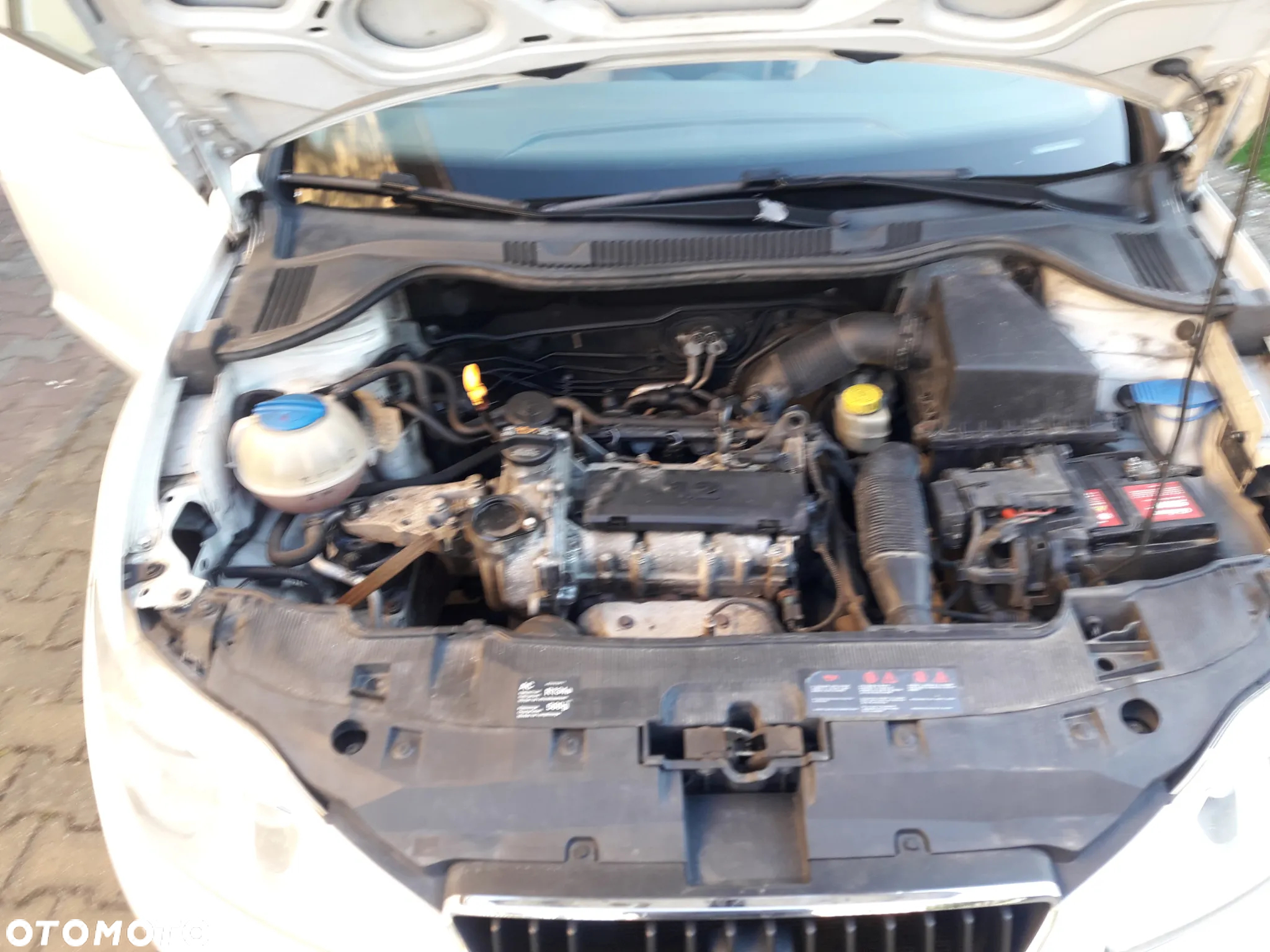Seat Ibiza 1.2 12V Comfort Edition - 19
