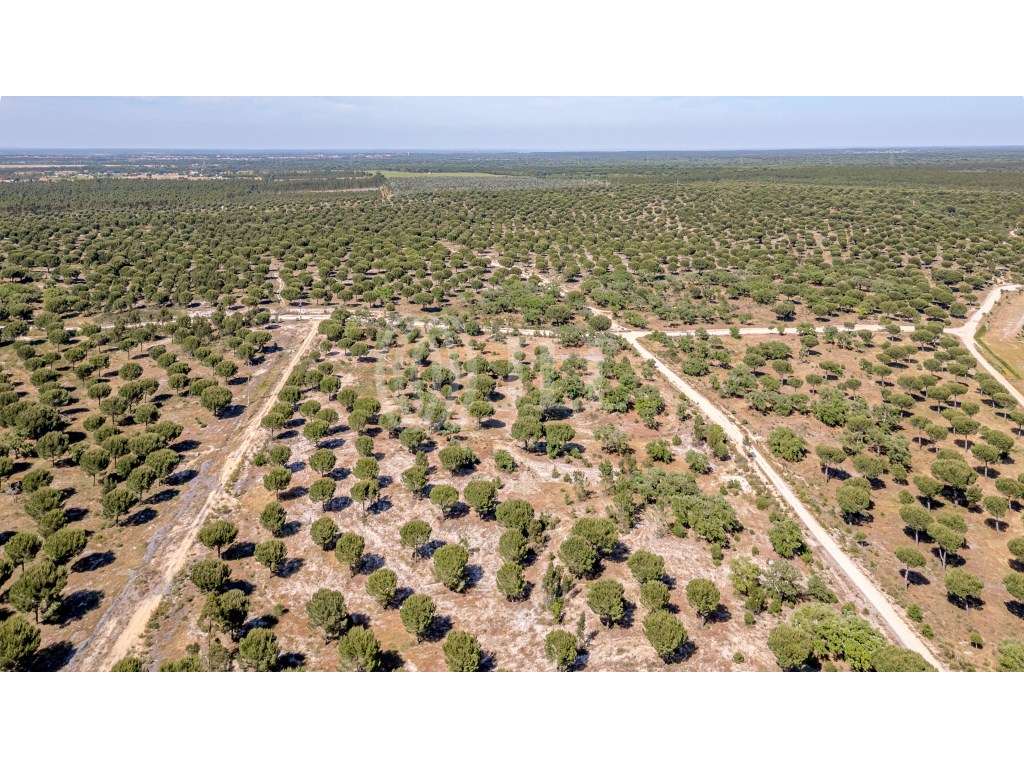 Terreno com PIP aprovado, em Benavente, Santarém - Grande imagem: 4/23