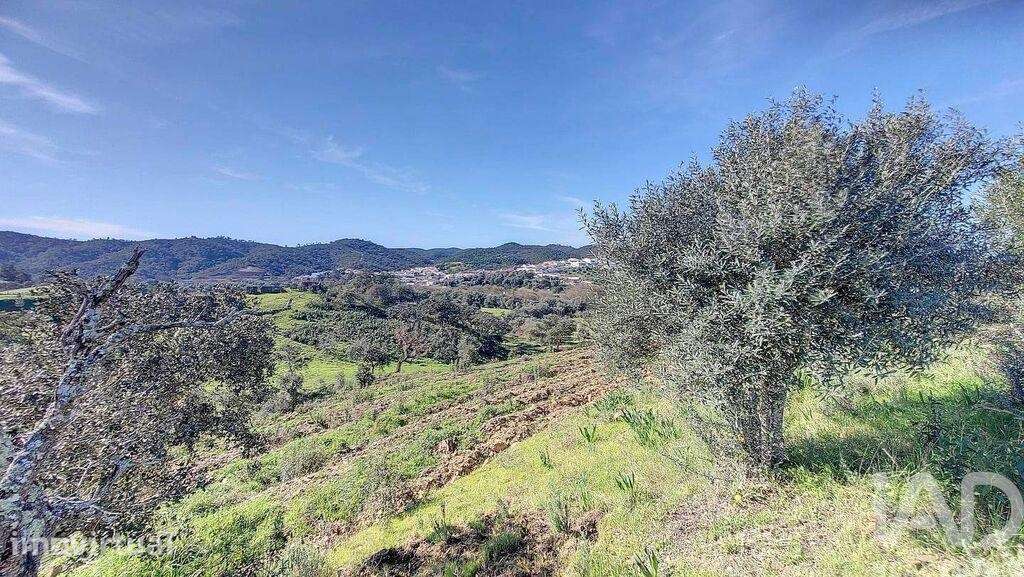 Terreno misto em São Marcos da Serra - Grande imagem: 4/14