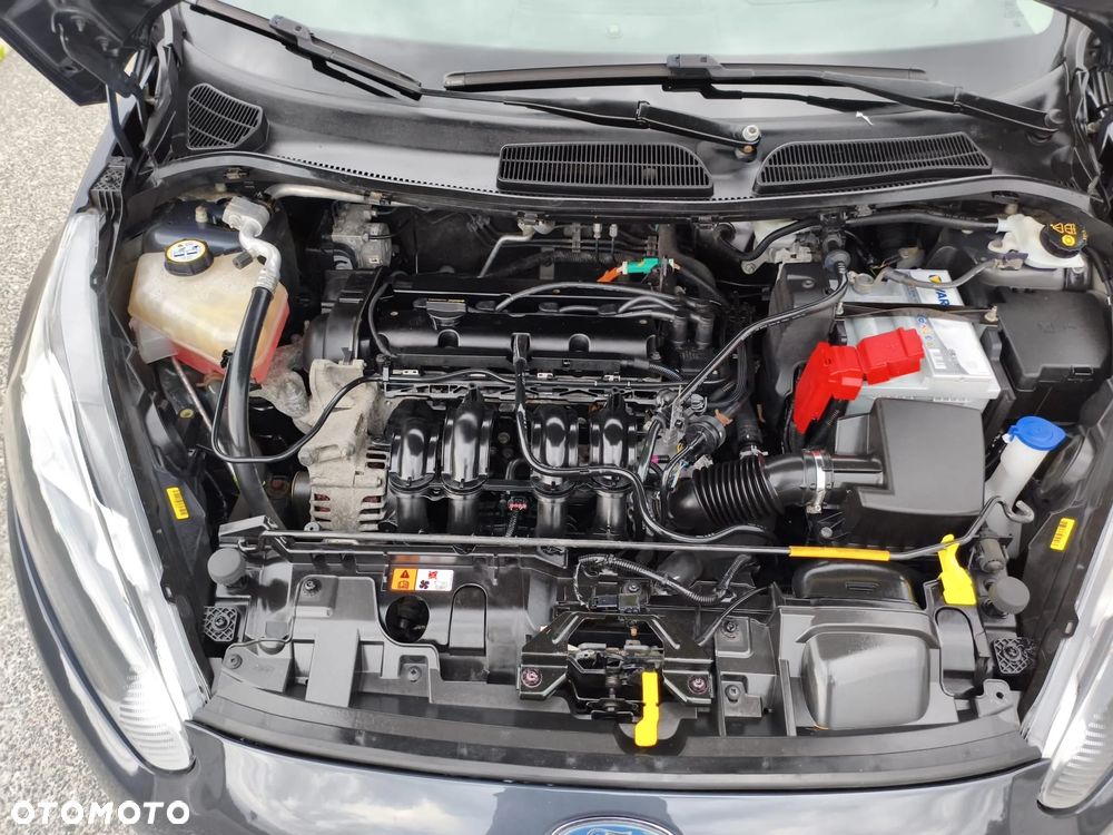 Ford Fiesta - 31