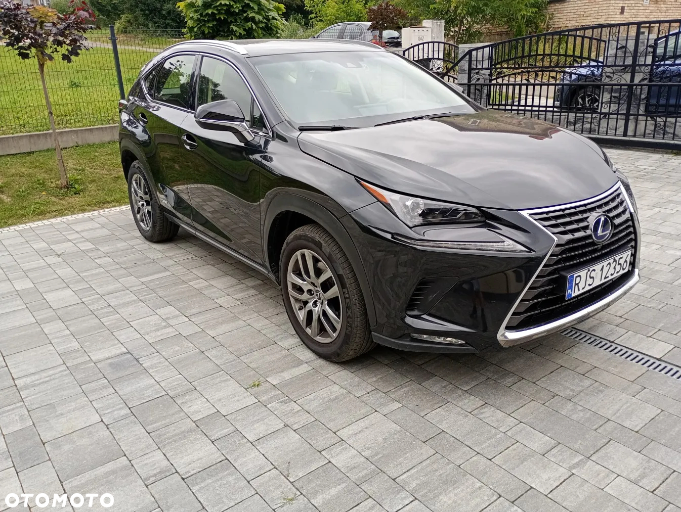 Lexus NX 300h Elegance 2WD - 4