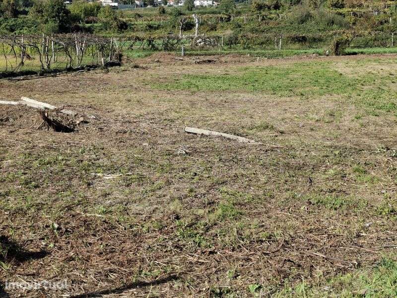 Arrenda-se espaço agrícola - Grande imagem: 2/4