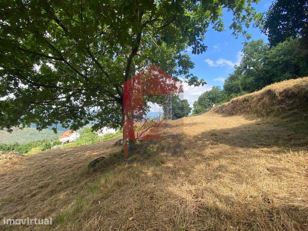 Terreno agrícola, Covas - Grande imagem: 4/26