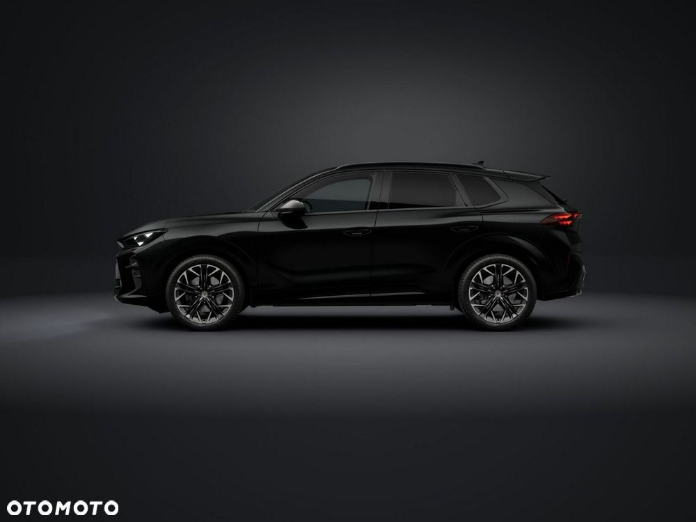 Cupra Terramar - 3