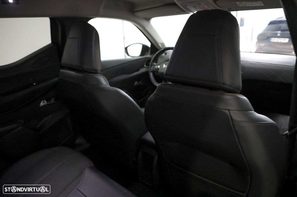DS DS3 Crossback - 14