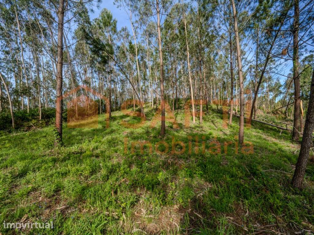 Terreno para construção - Grande imagem: 3/9