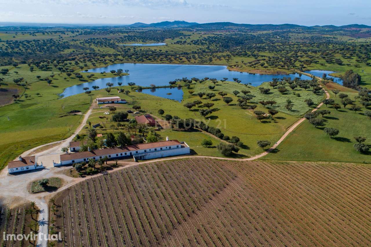 Herdade de 190 Hectares (16 Hectares de Vinha) a 10 km do lago de Alqu - Grande imagem: 5/40