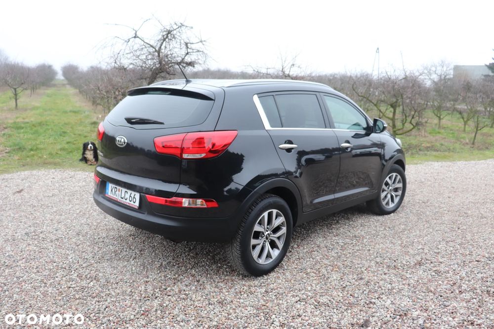 Kia Sportage 1.6 GDI Business Line L 2WD - 21