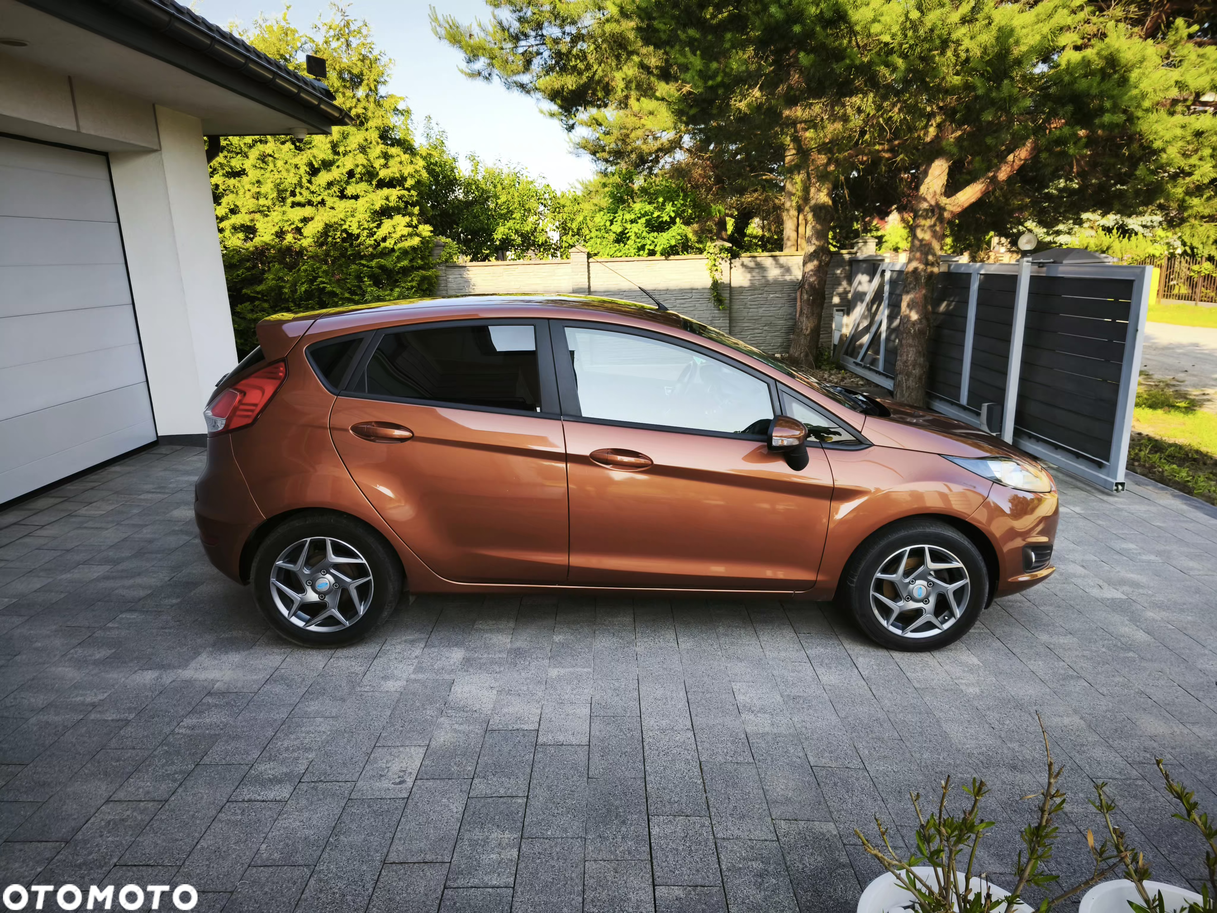 Ford Fiesta - 3