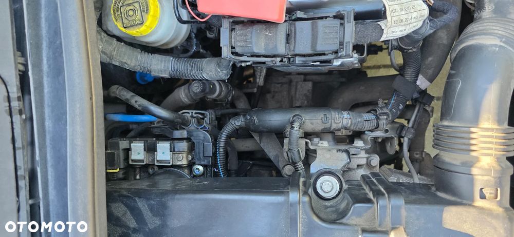 Fiat Panda 1.2 Easy - 14
