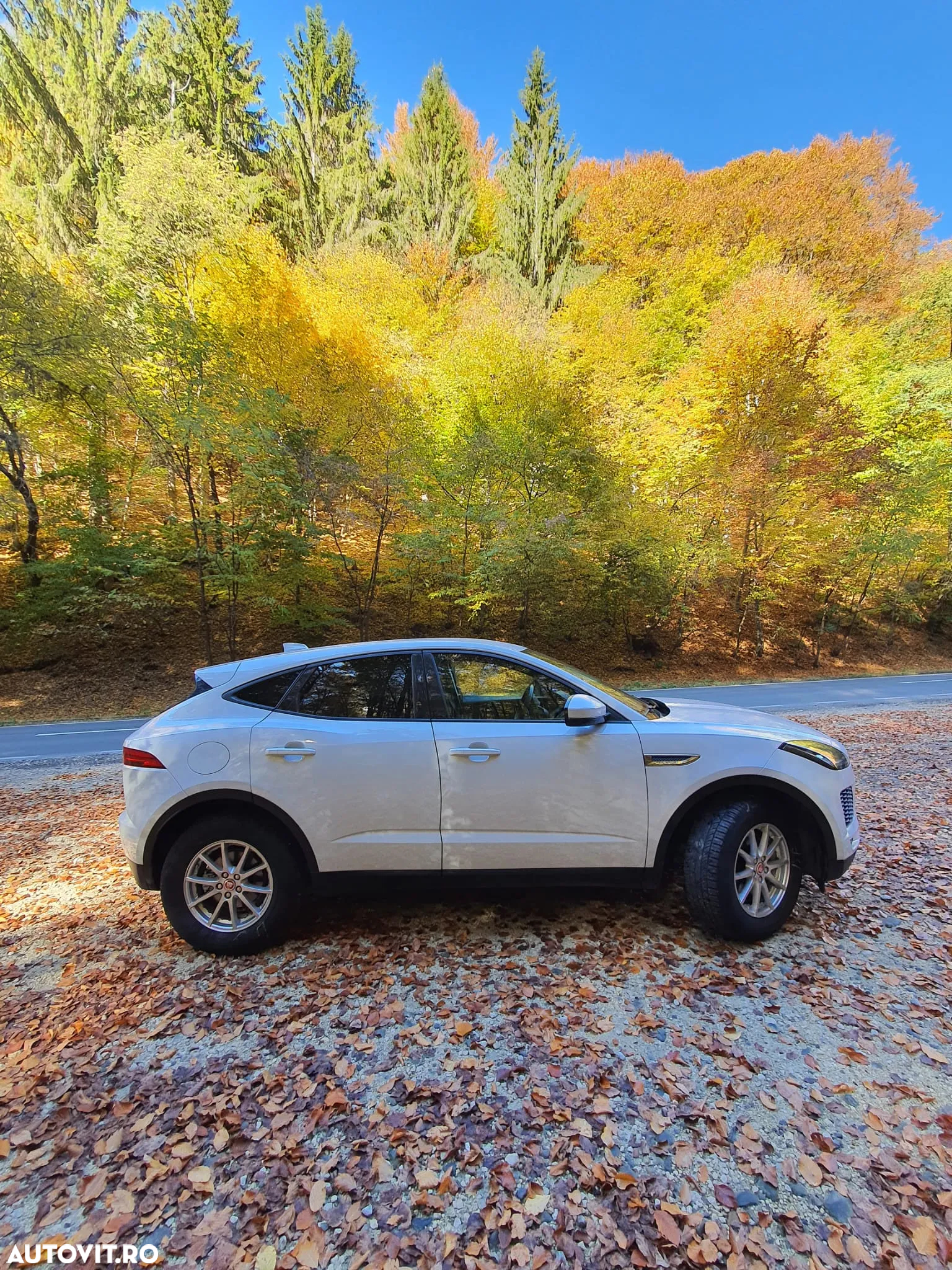 Jaguar E-Pace D180 AWD S - 4