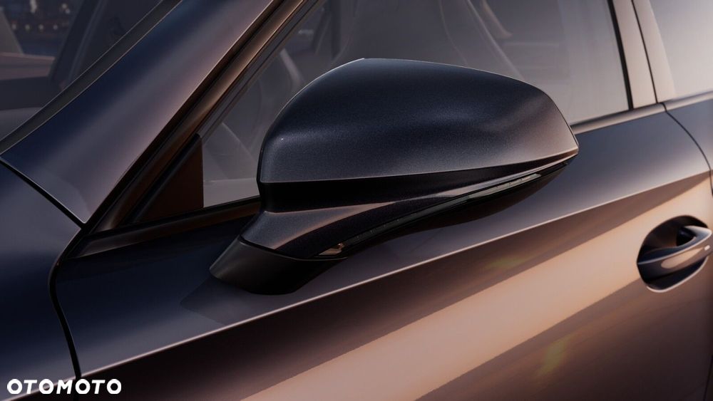 Cupra Formentor 2.0 TSI 4Drive DSG - 10