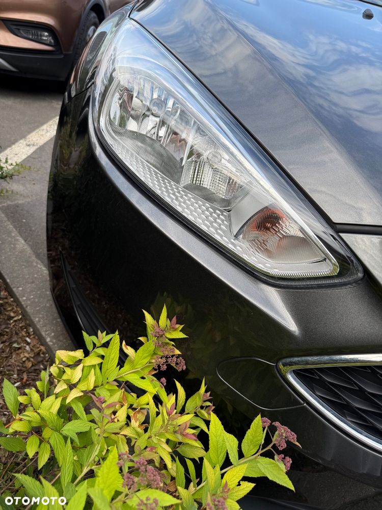 Ford Focus - 19