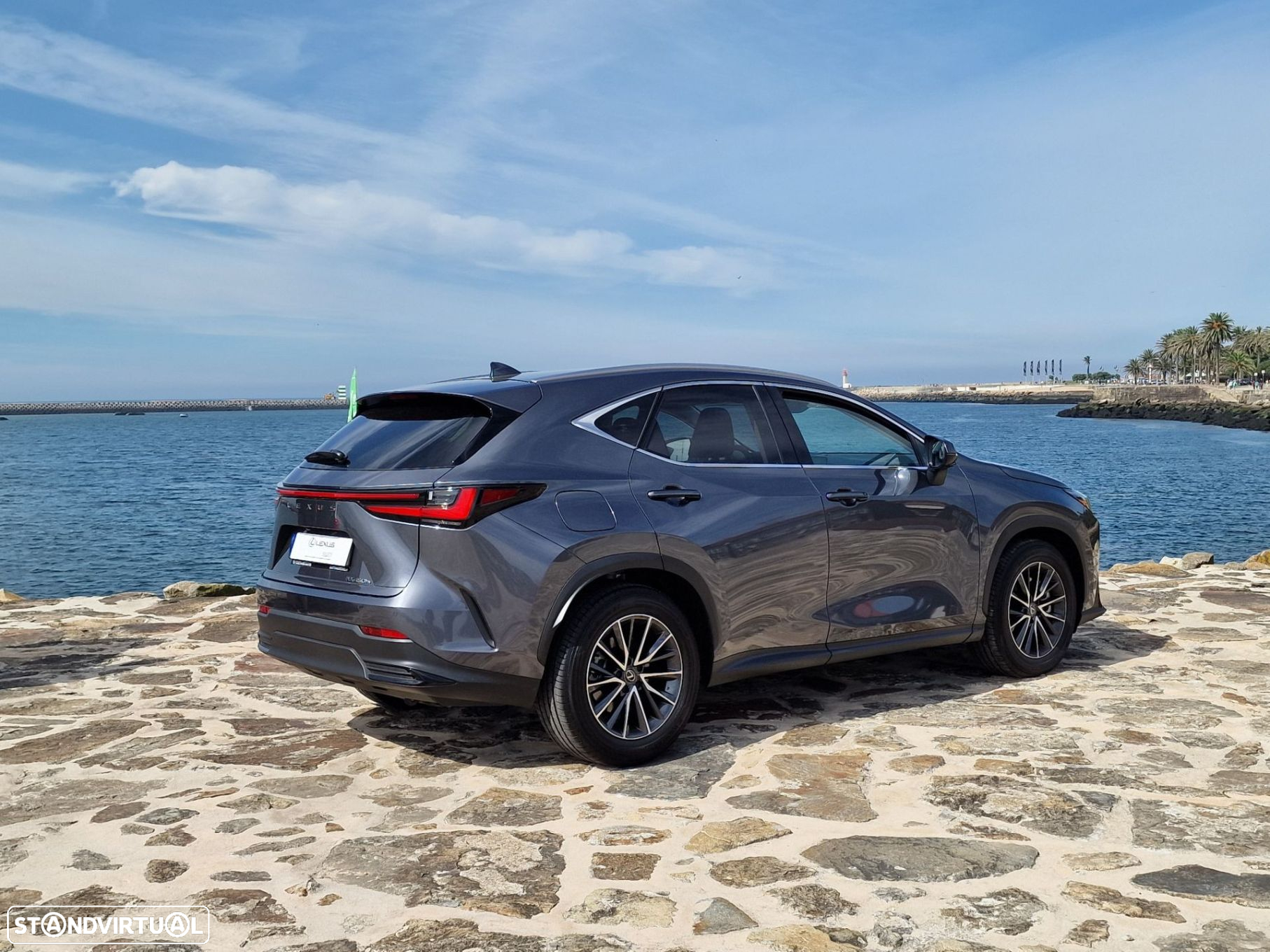 Lexus nx-450hplus - 8
