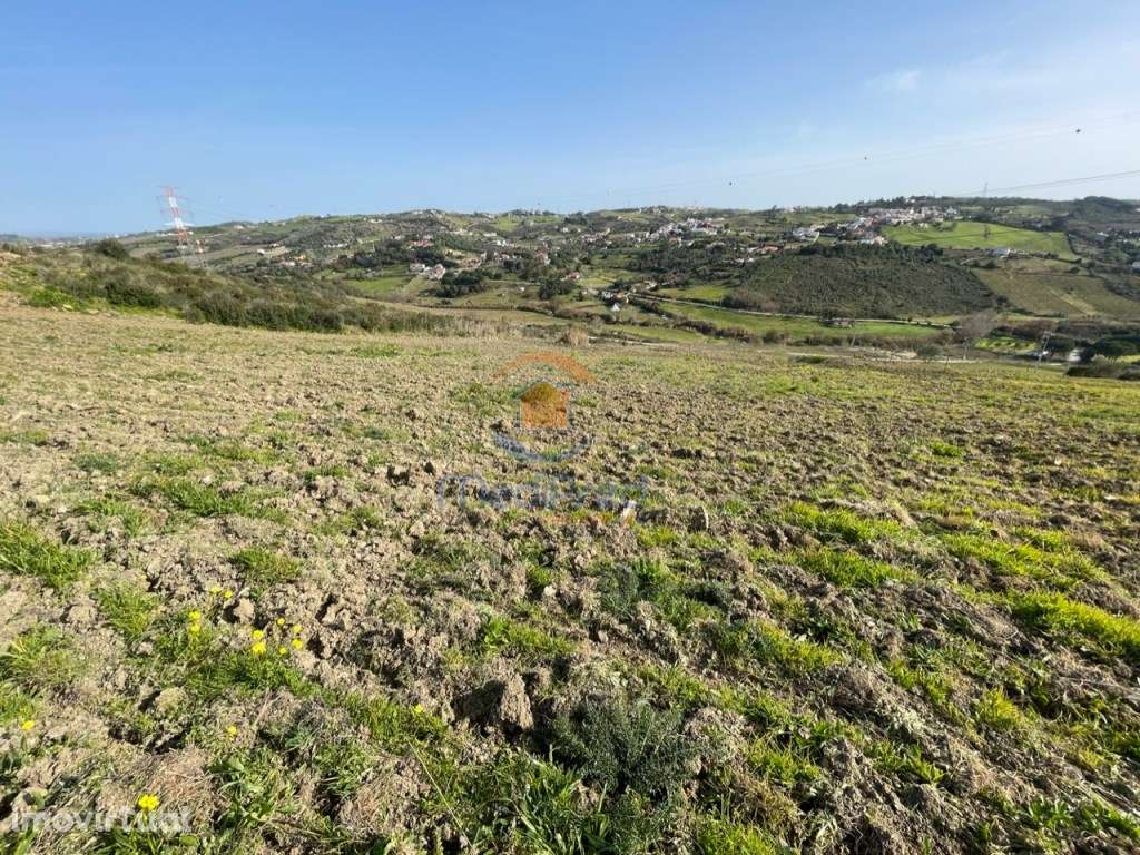 Lote de Terreno - Santo Estevão - Grande imagem: 5/11