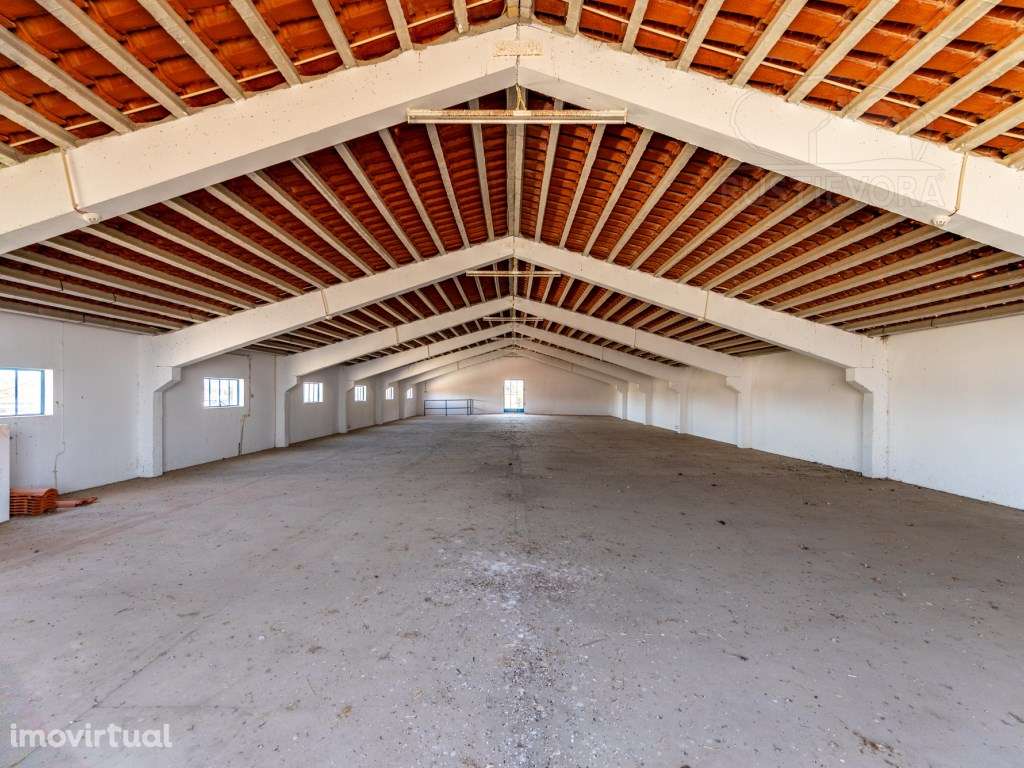 Armazém com 2 pisos - quinta - Montemor-o-Novo - Grande imagem: 2/42