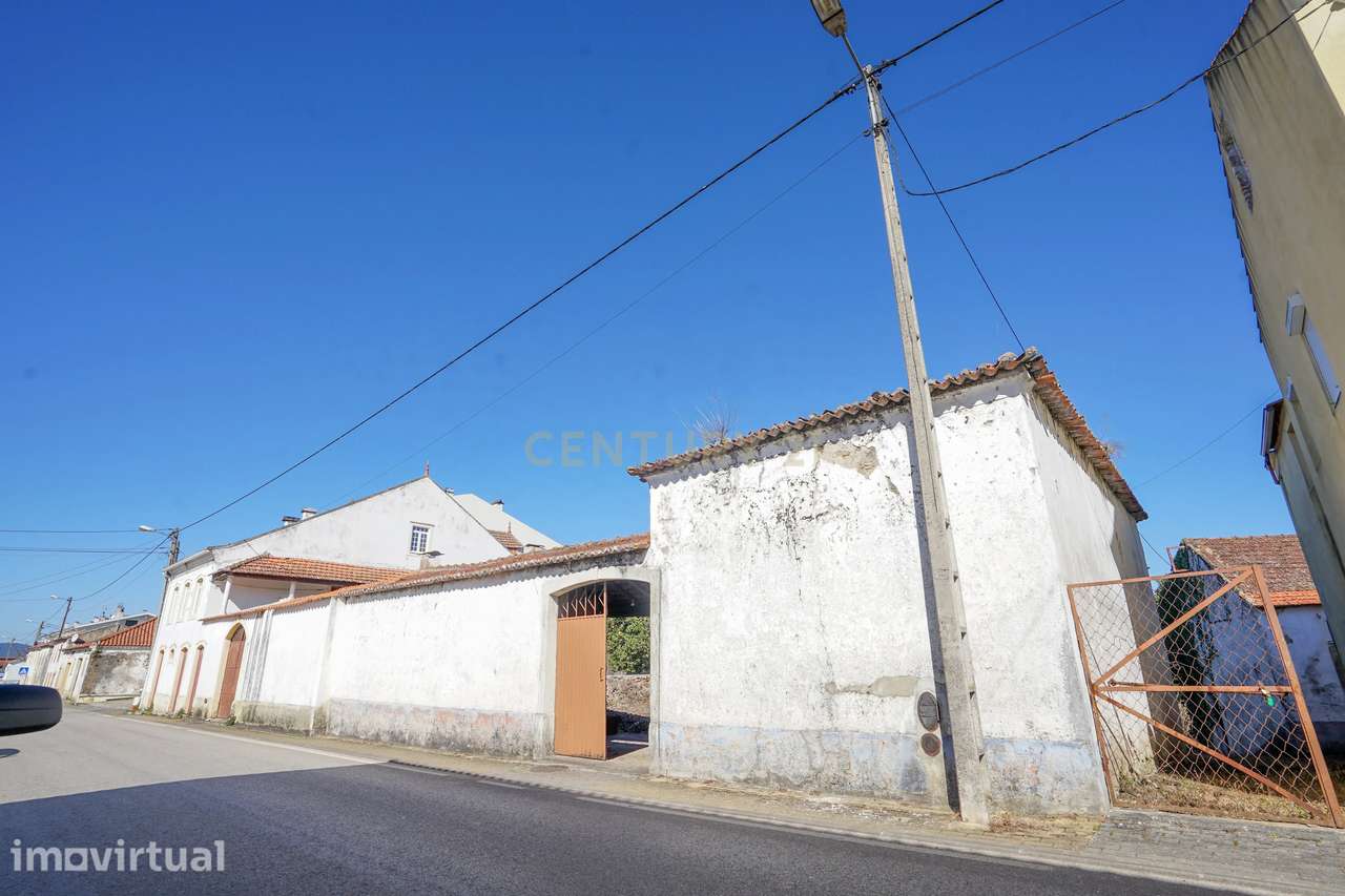 Quinta com lagar, telheiro, pátio, arrumos, terreno e poço numa locali - Grande imagem: 4/24