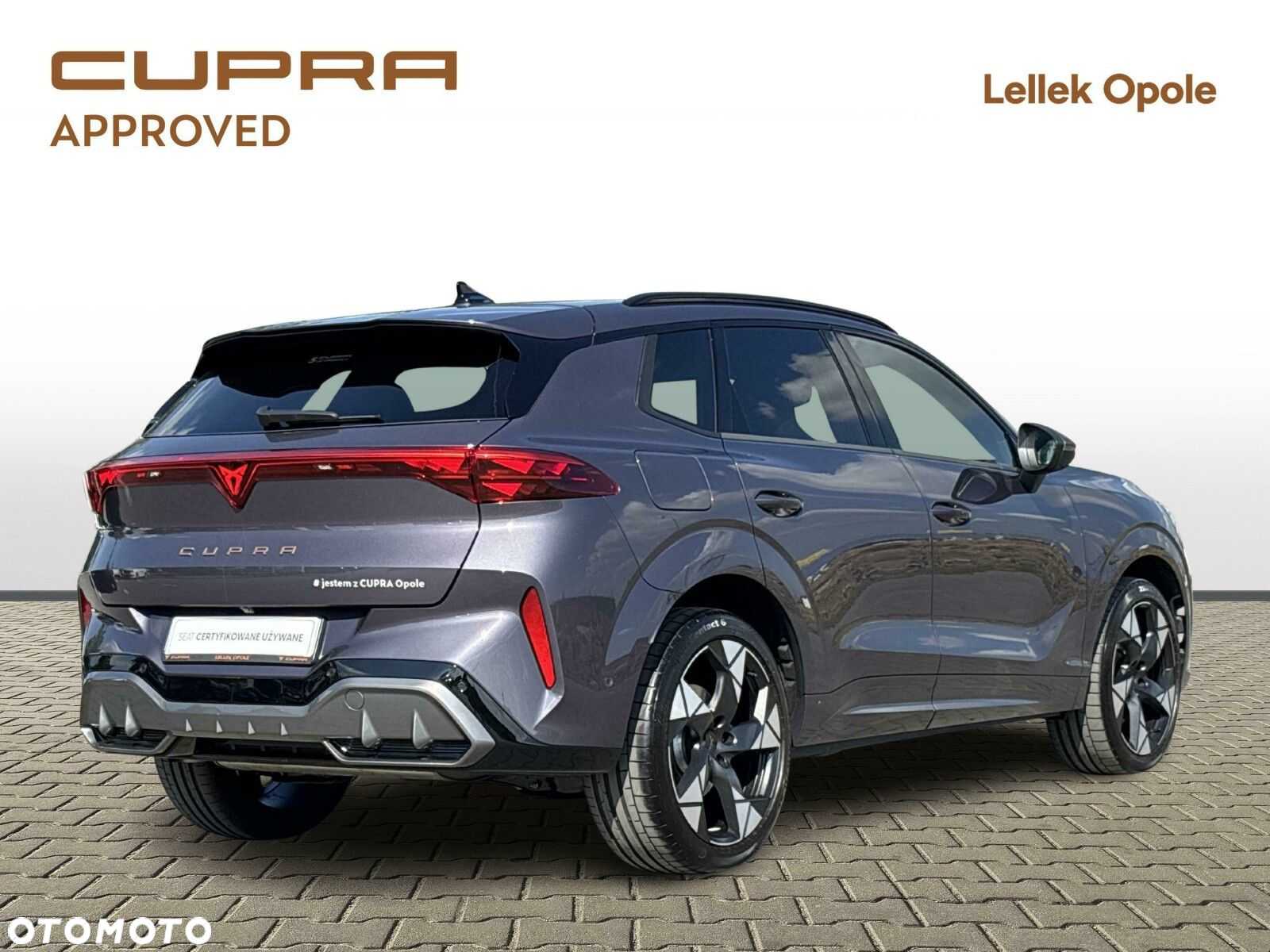 Cupra Terramar 2.0 TSI 4Drive VZ DSG - 5
