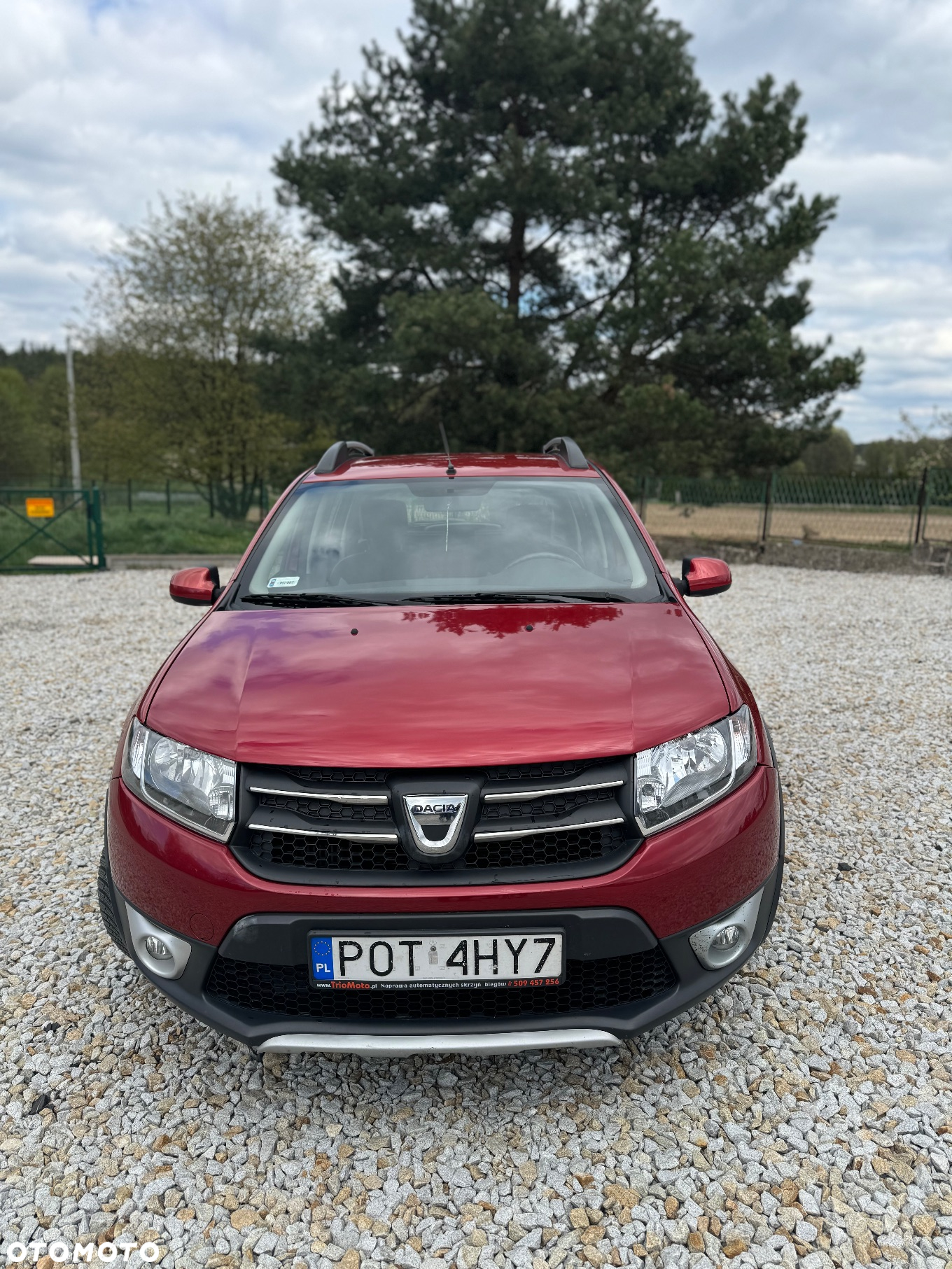 Dacia Sandero Stepway 1.5 dCi - 2