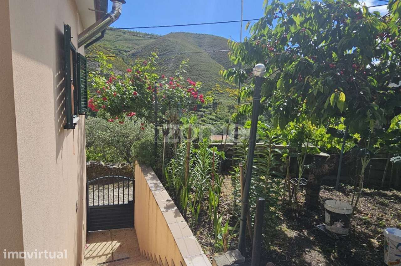 Moradia T2 com Quintal em Trás-os-Montes - Grande imagem: 4/20