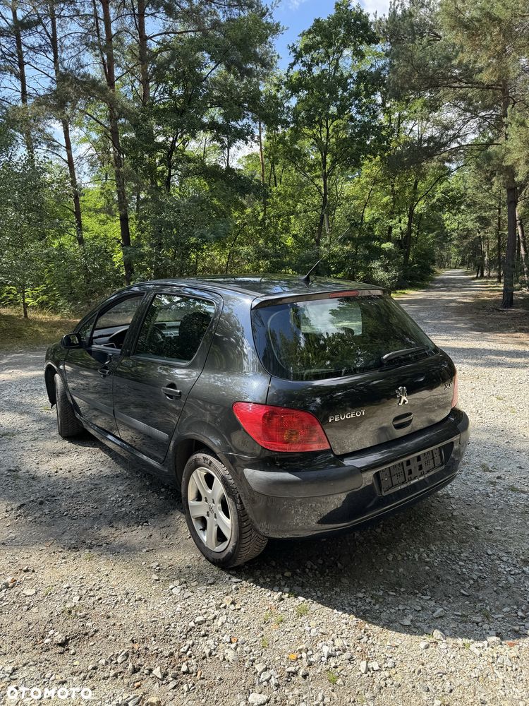 Peugeot 307 - 4