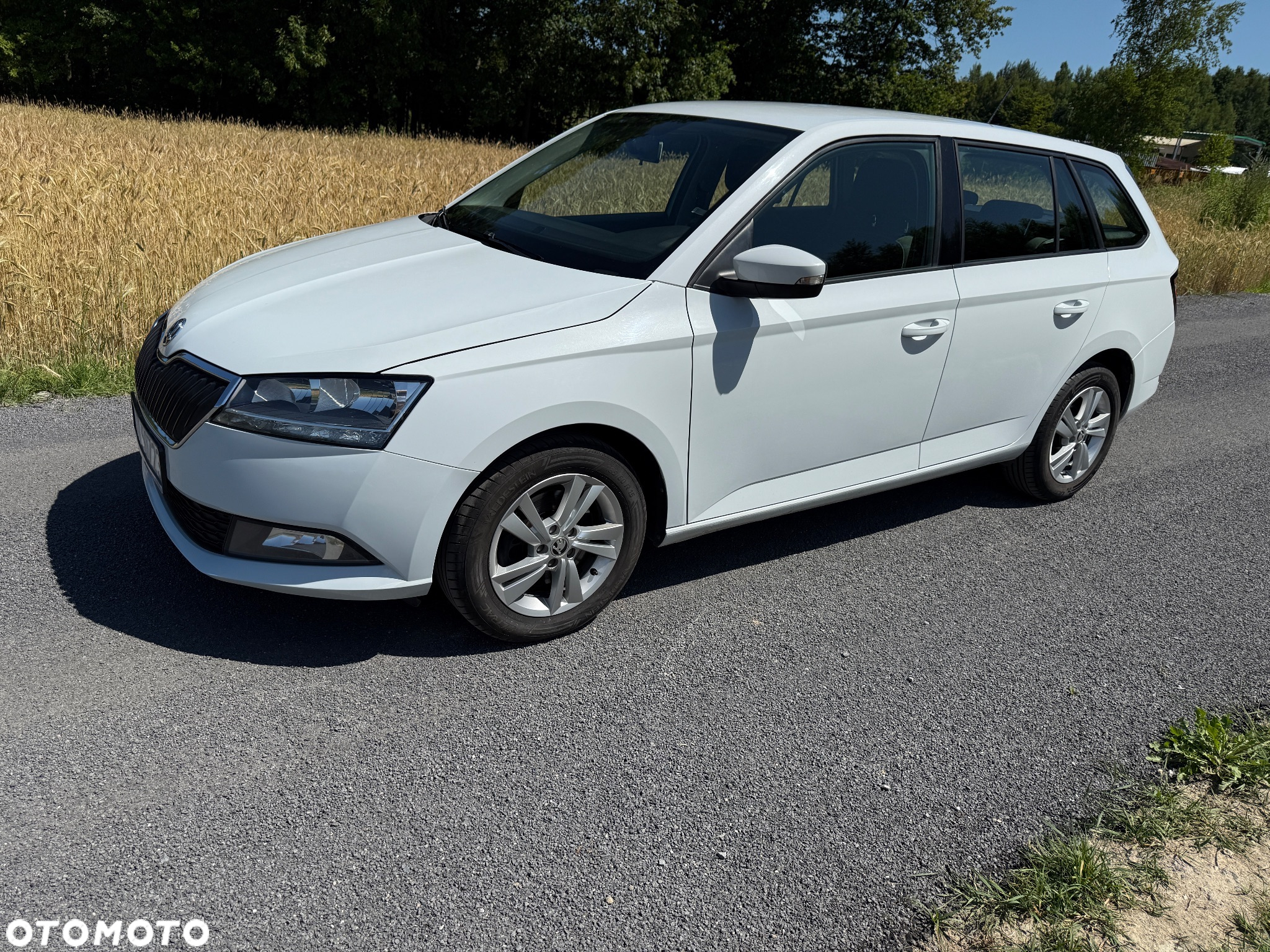 Skoda Fabia - 3