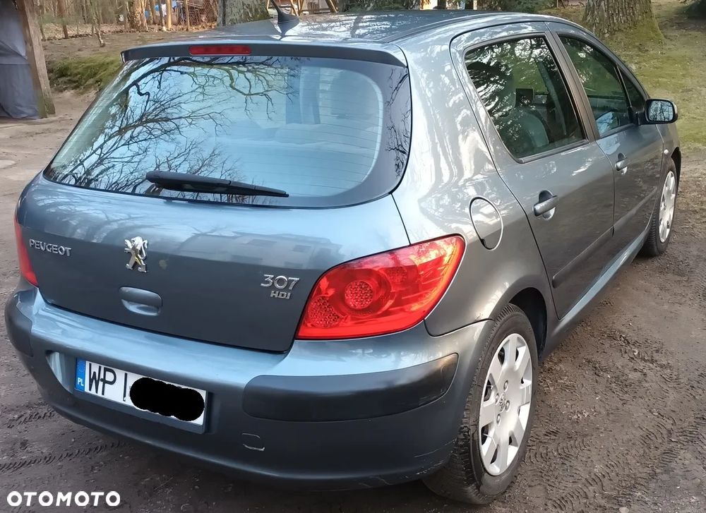 Peugeot 307 1.6 HDi - 6