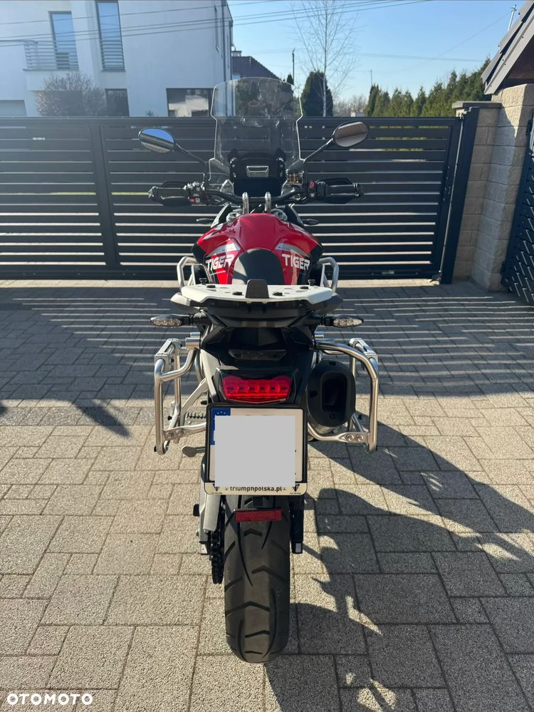 Triumph Tiger - 8
