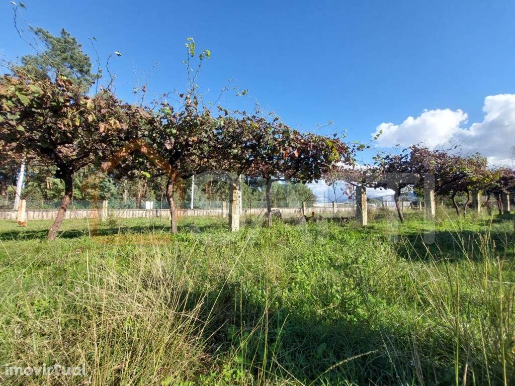 Terreno Construtivo - Grande imagem: 3/5