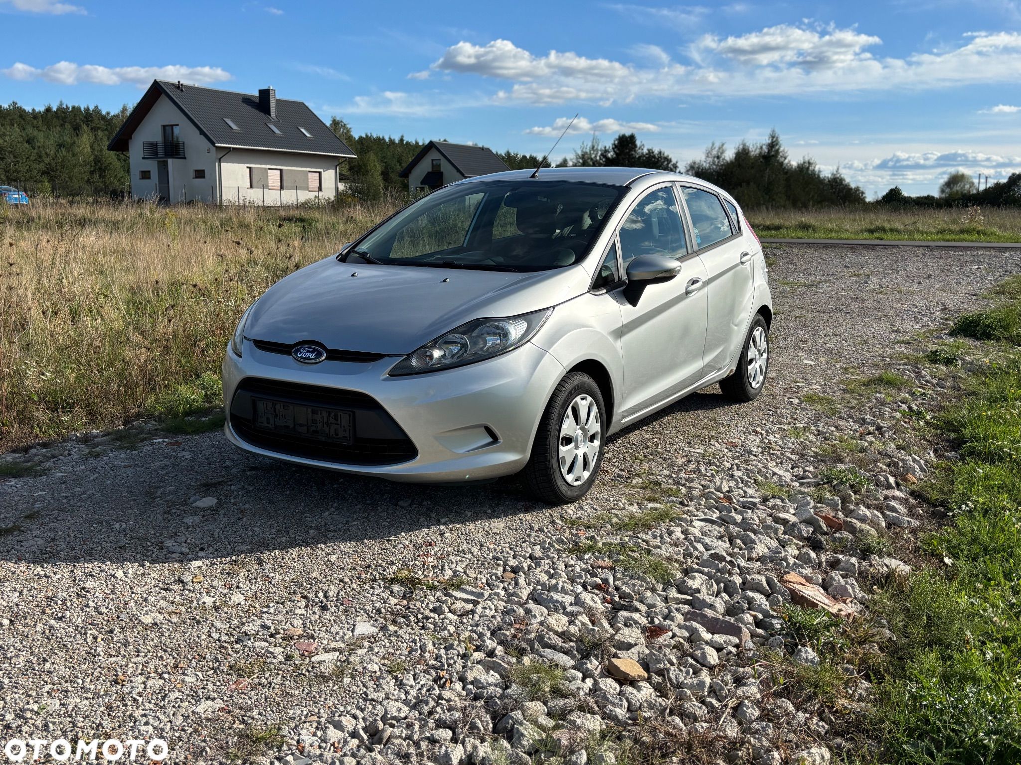 Ford Fiesta - 1