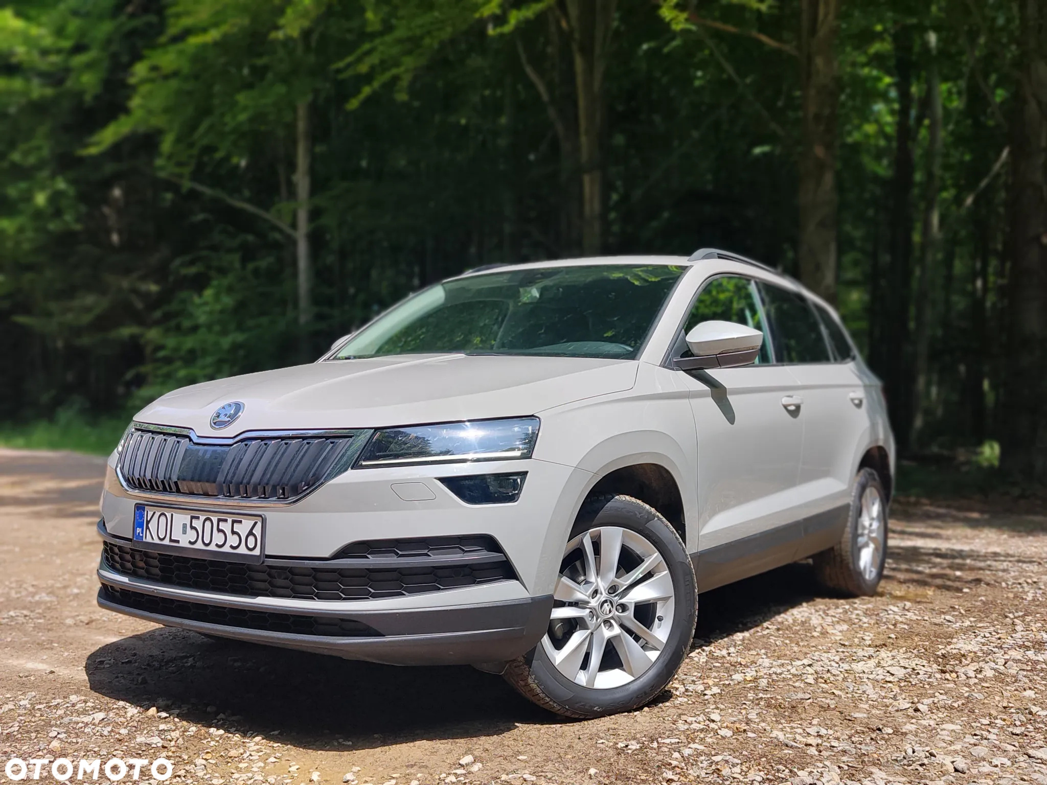 Skoda Karoq - 28