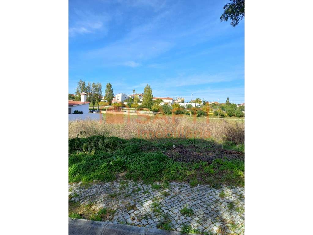 Vende-se Terreno em Torres Novas para Construção - Grande imagem: 4/4