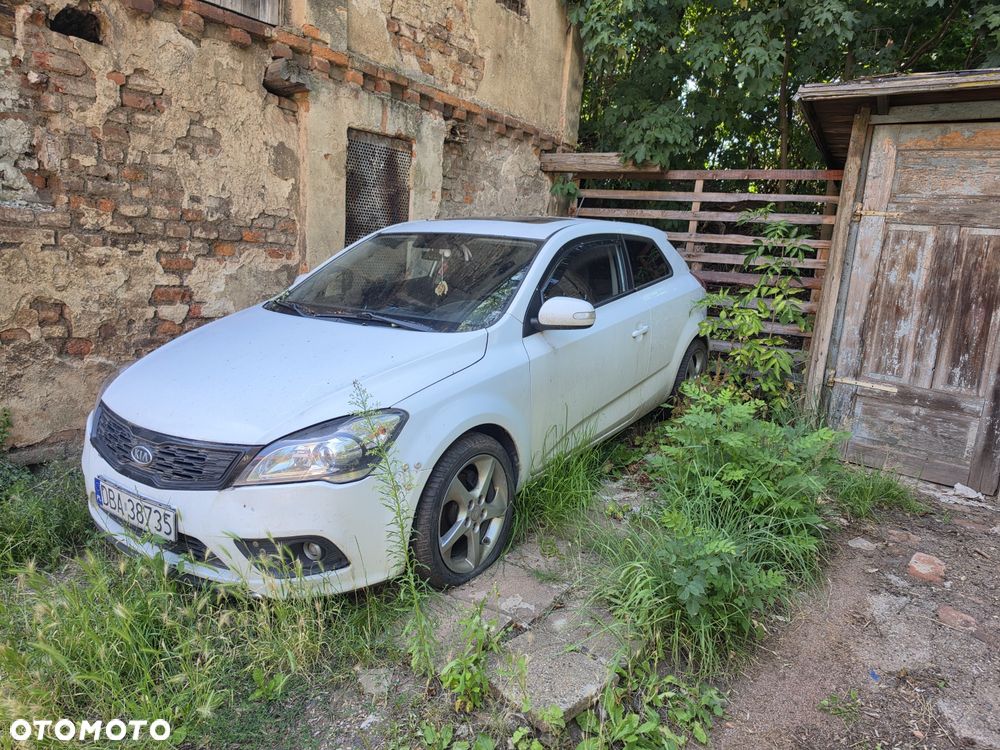 Kia Ceed - 2