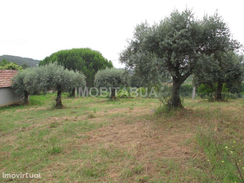 Moradia para recuperar - Grande imagem: 4/25